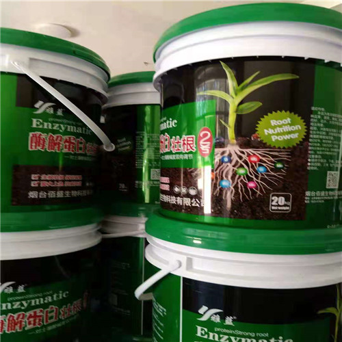 ø�⵰�נ�Ѹ�